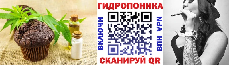 Cannafood конопля Балашов