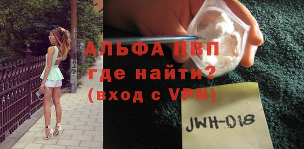 прущие грибы Верея