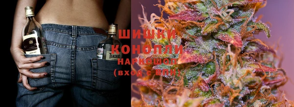 каннабис Белокуриха