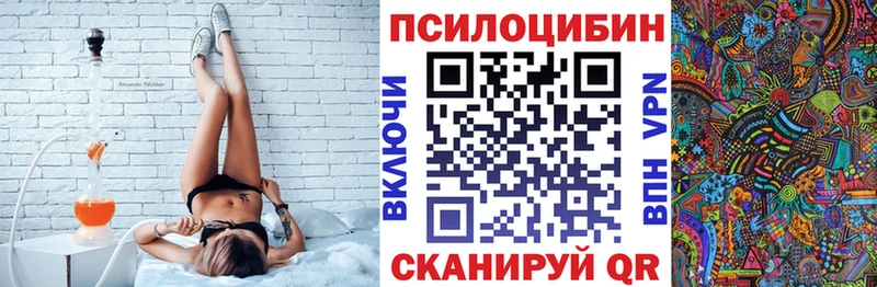 Псилоцибиновые грибы MAGIC MUSHROOMS  KRAKEN сайт  Балашов  магазин  наркотиков 